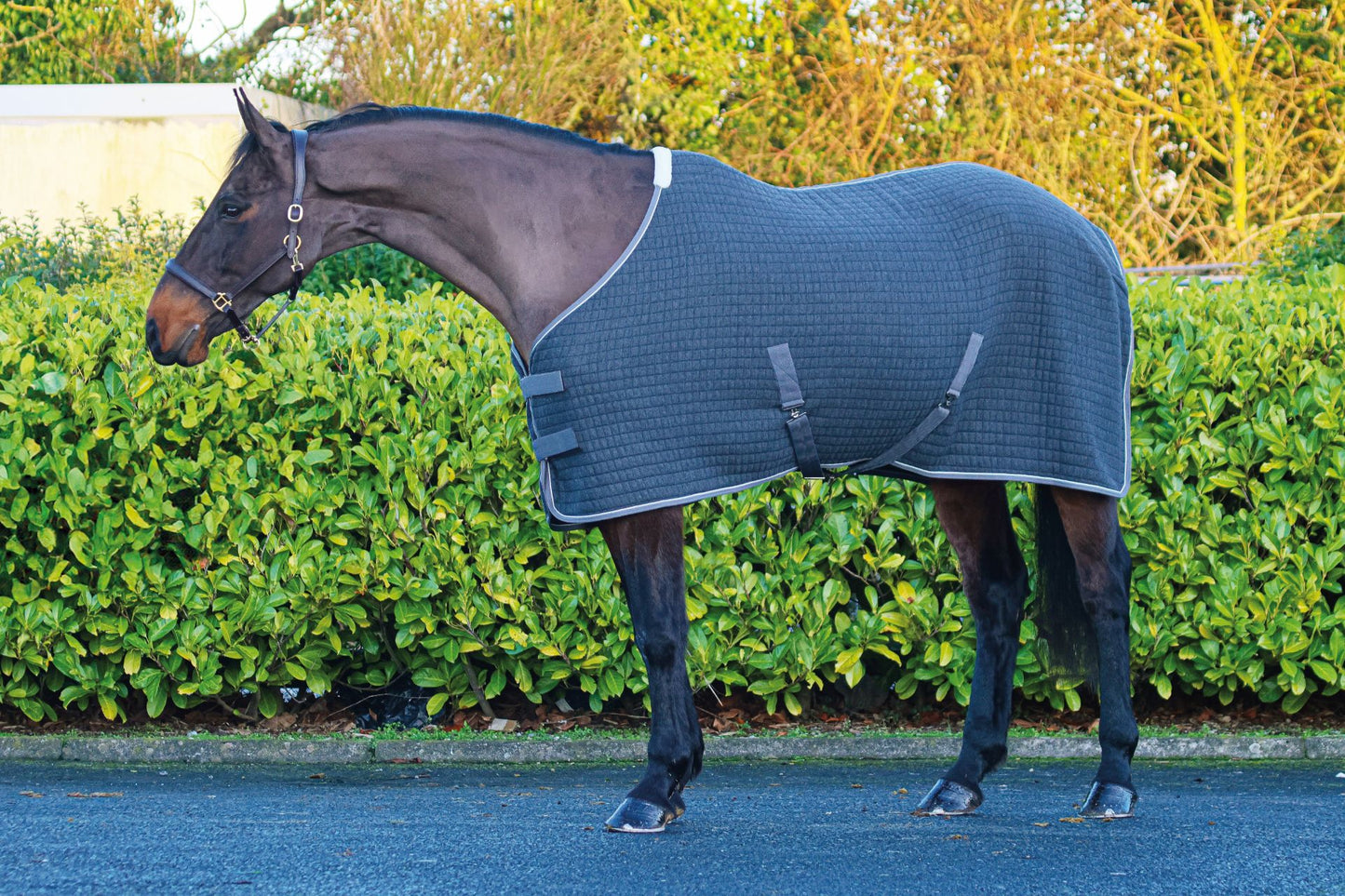 Mackey Aran Thermo Rug