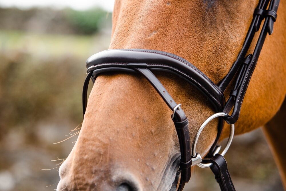 Mackey Legend Athena Bridle