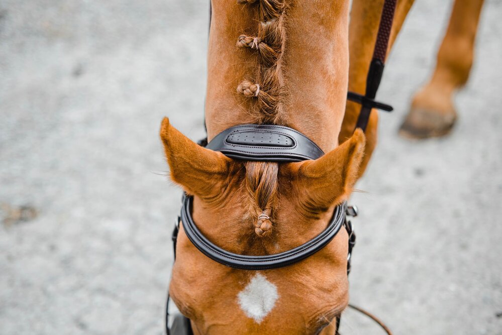 Mackey Legend Athena Bridle