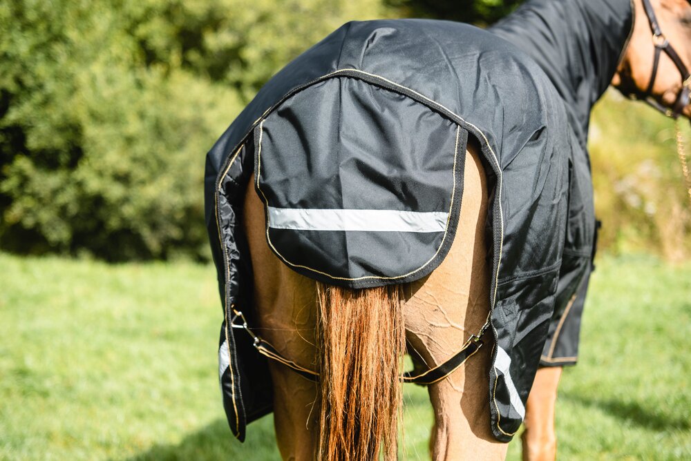 Lugnaquilla Half Neck Heavy Turnout