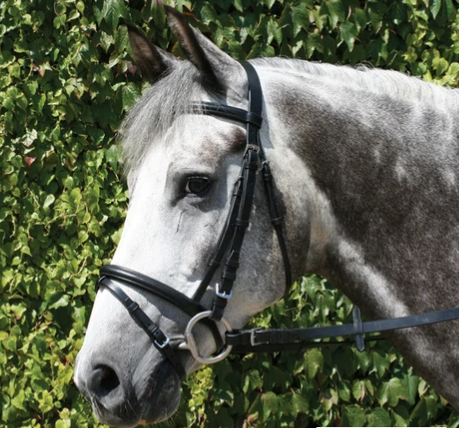 Mackey Classic Flash Bridle