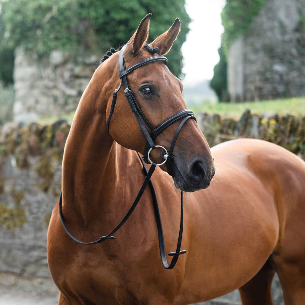 Mackey Legend Flash Bridle