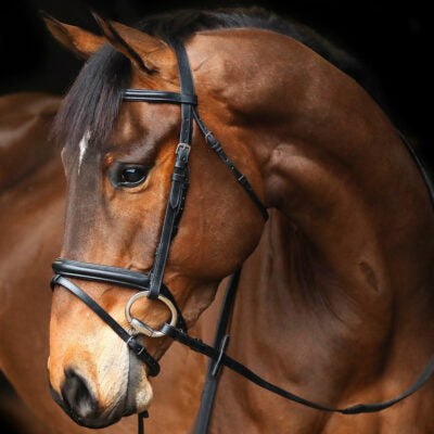 Mackey Classic Flash Bridle