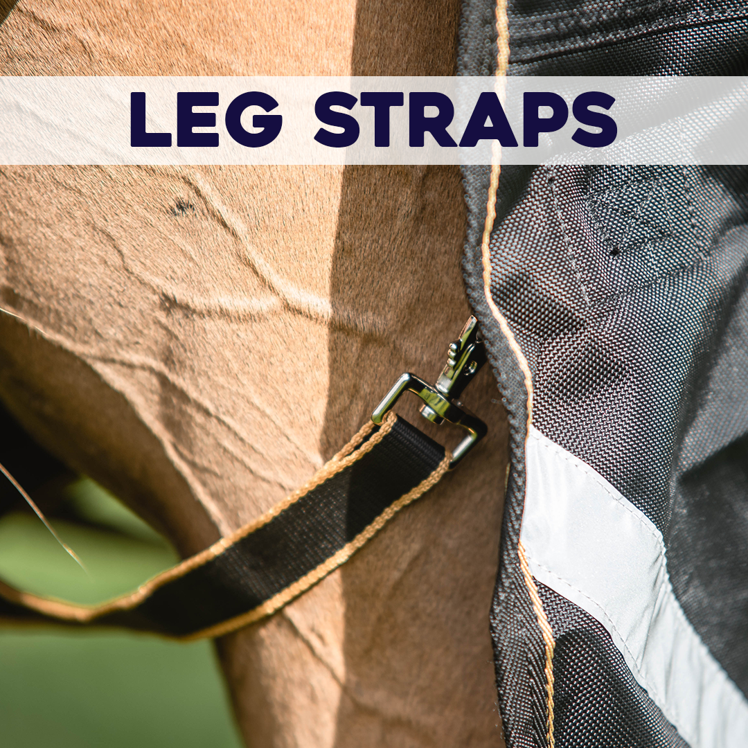 Lugnaquilla Half Neck Heavy Turnout