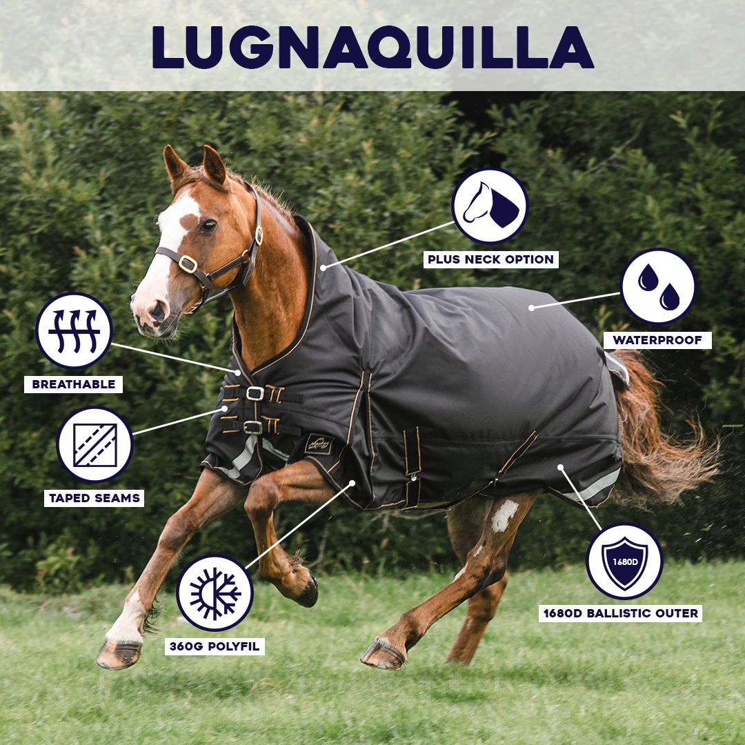 Lugnaquilla Half Neck Heavy Turnout