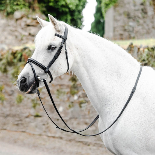 Mackey Legend Flash Bridle