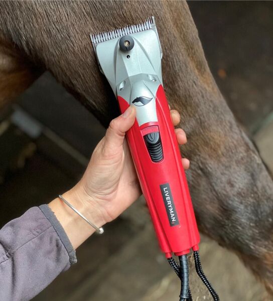 Liveryman Black Beauty Mains Model